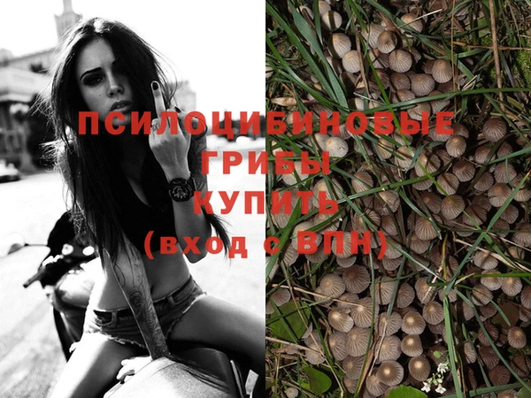 мдпв Наволоки