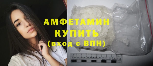 крисы Надым