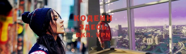 крисы Надым