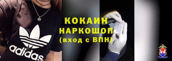 крисы Надым