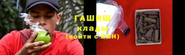 крисы Надым