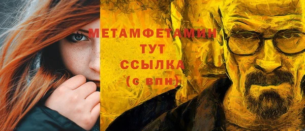 крисы Надым