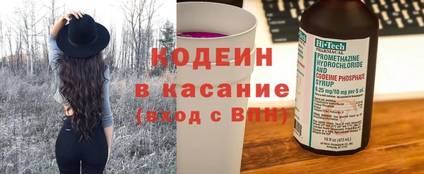 крисы Надым