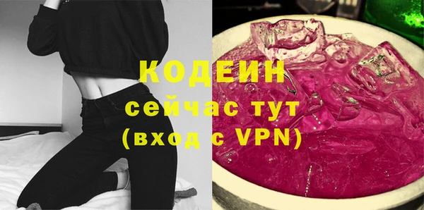 крисы Надым