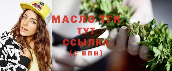 крисы Надым