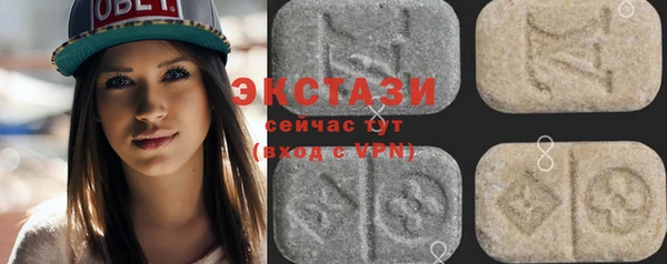крисы Надым