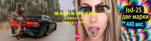крисы Надым