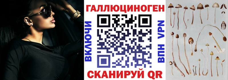 Псилоцибиновые грибы мухоморы  Хадыженск 