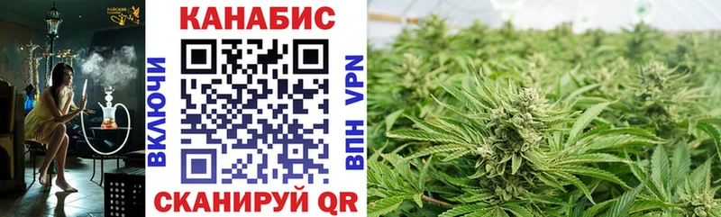 Бошки Шишки VHQ Хадыженск